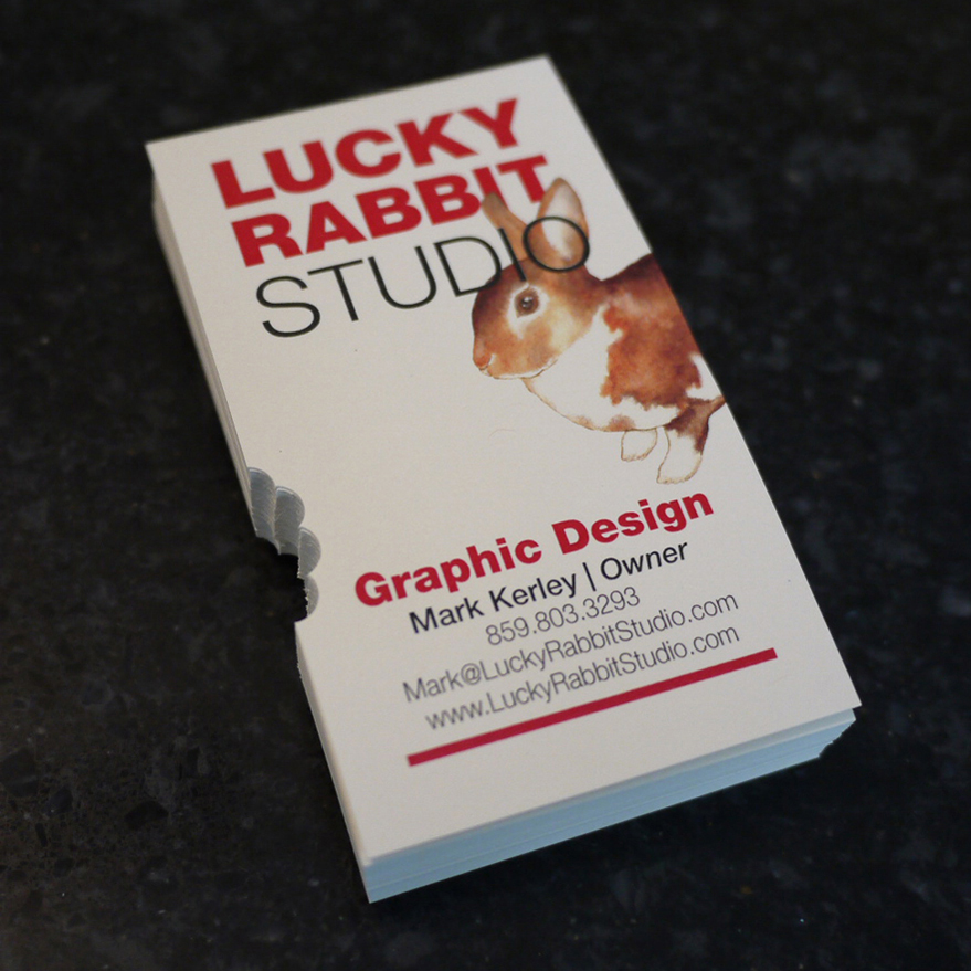 Lucky Rabbit Studio - Card Nerd